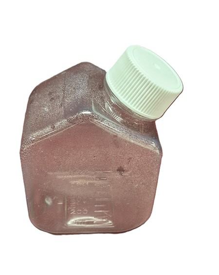 Lab Bottle White Lid