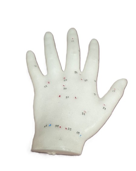 Small Model Teaching Hand 