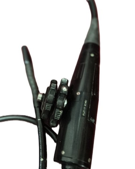 Endoscope Moveable End