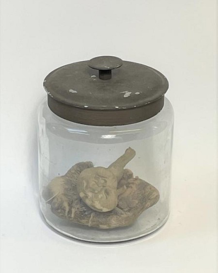 Specimen Jar with Prop Part Intestine