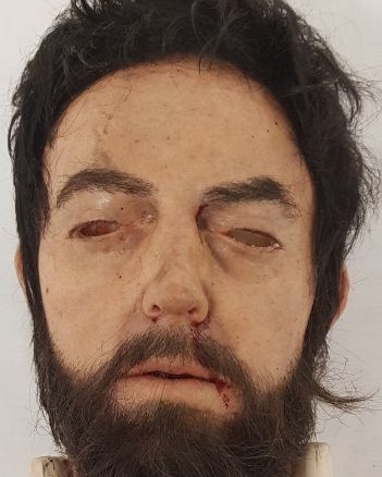 Severed Synthetic Head