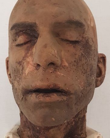 Severed Synthetic Head