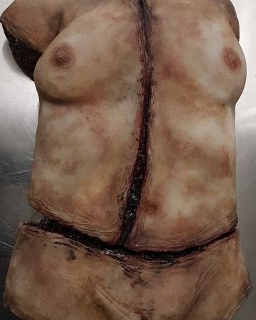 Synthetic Female Torso