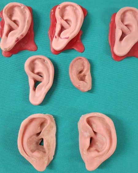 Ear model