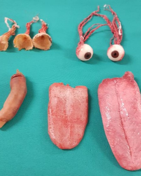 Body Parts Small (tongue and Eye Ball not available)