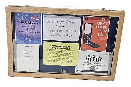 Wall Mounted Notice Board