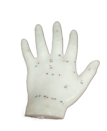 Small Model Teaching Hand 