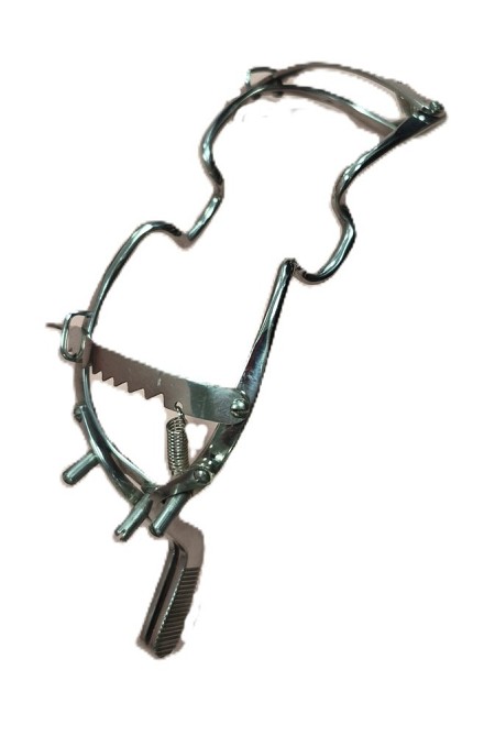 White Head Mouth Gag