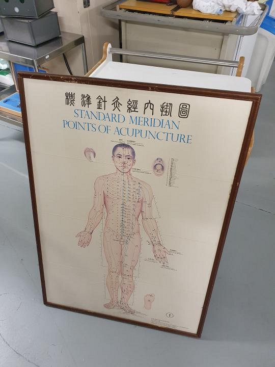 Acupuncture framed poster 