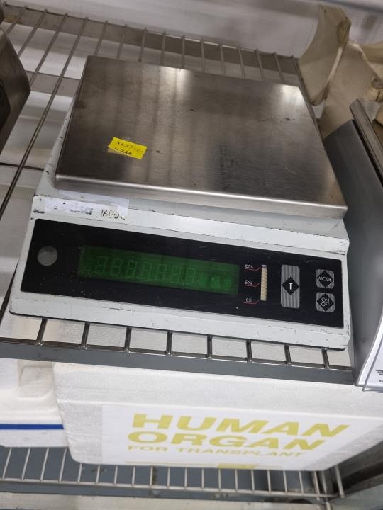 Mortuary weighing scale 