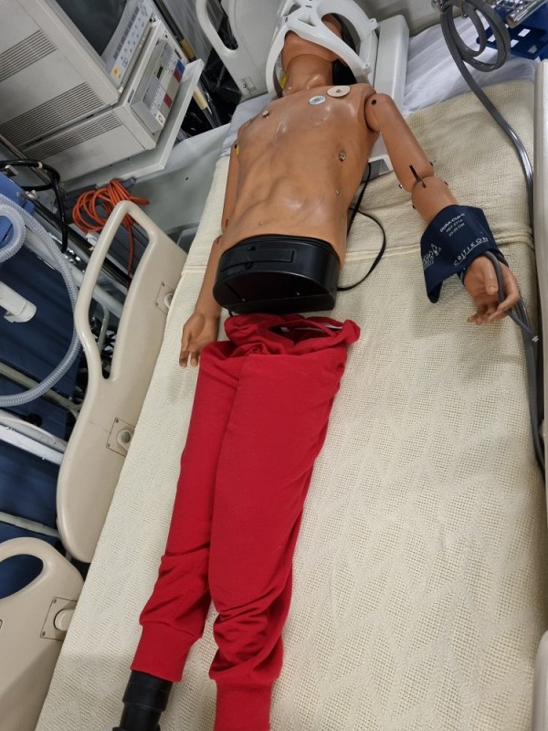 Resus Dummy 2 parts