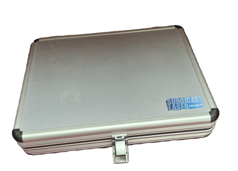 Cased Surgical Laser Pen
