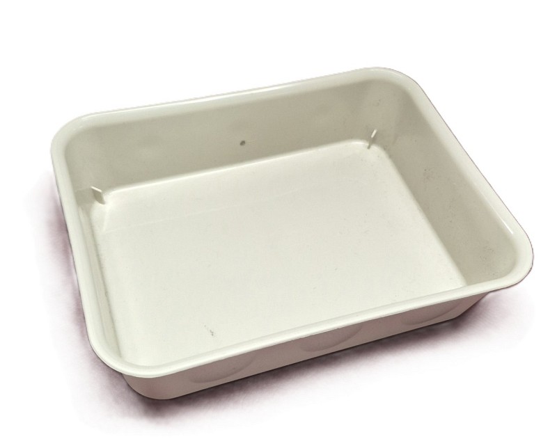 Large Plastic Container 