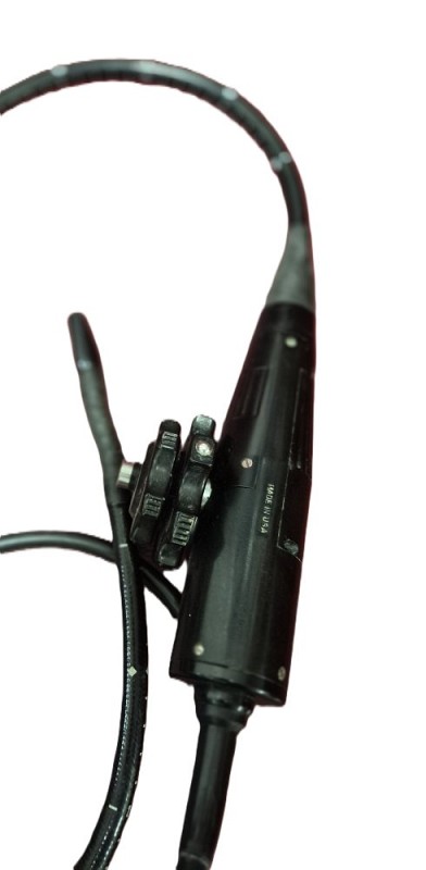 Endoscope Moveable End