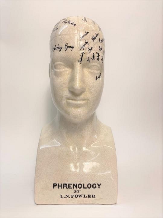 Phrenology Head Large