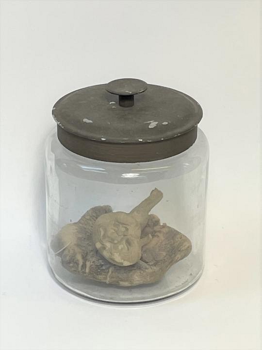 Specimen Jar with Prop Part Intestine