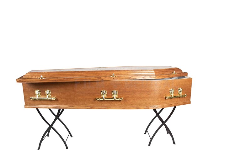 Coffin With Brass Effect (Coffin Only)