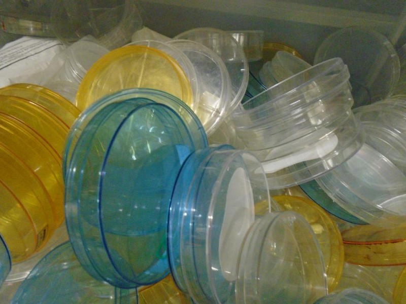 Plastic petri dish stack