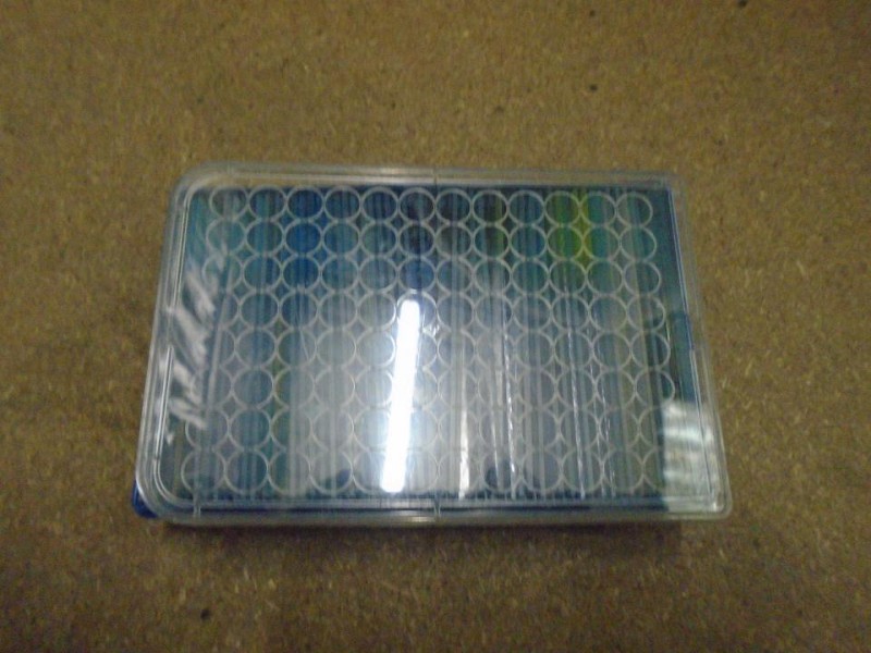 Microscope slides