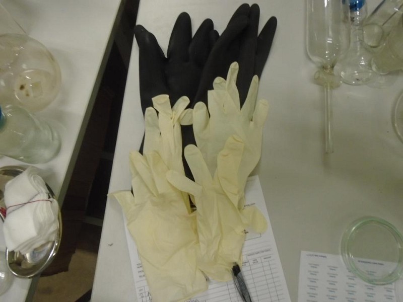 Individual Pair of Gloves