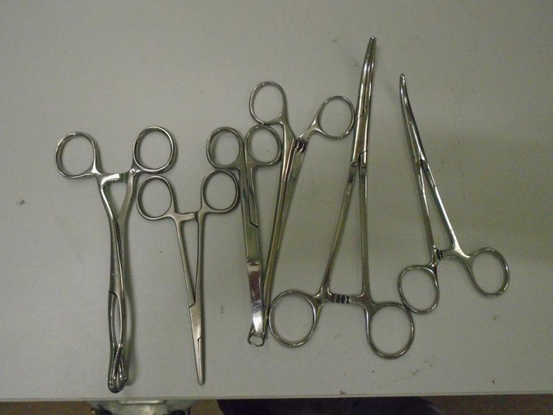 Small Forceps 