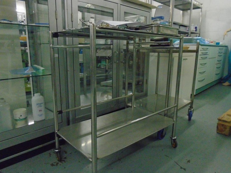 S/S Two Tier Trolley