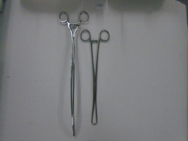 Large Forceps