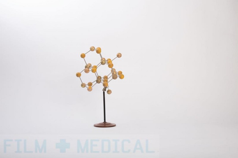 Molecular Model on Stand