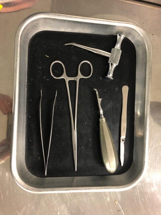 Dissection Tray X 4 misc instruments  + Trephine T shaped instrument