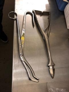 Forceps