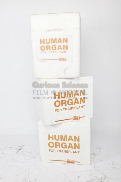 Human Organ Transplant Containers