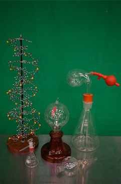 DNA Model and Edison Bulb