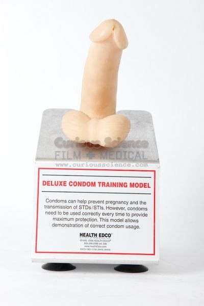 Condom training model