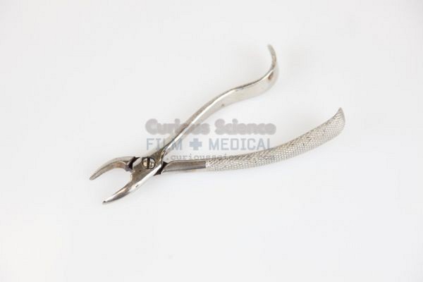 Dental Forceps