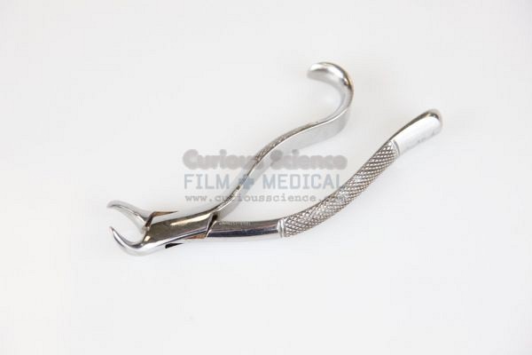 Dental Forceps