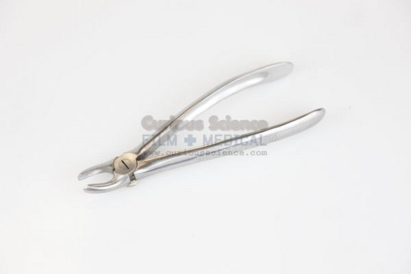 Dental Forceps