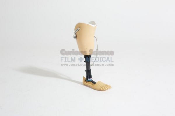 Artificial Leg