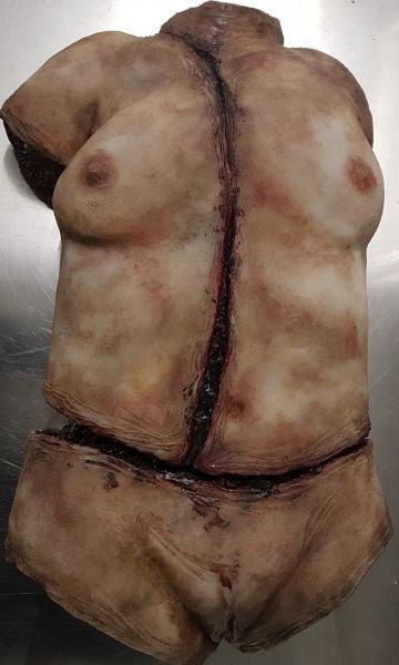 Synthetic Female Torso