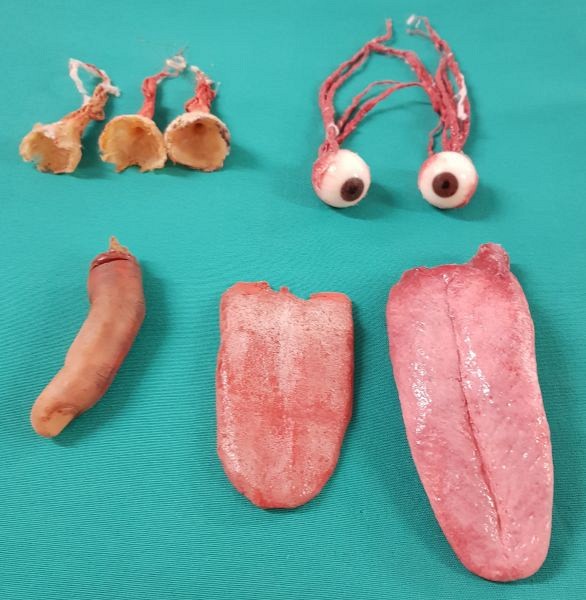 Body Parts Small (tongue and Eye Ball not available)