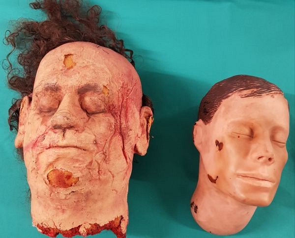 Model Severed Heads